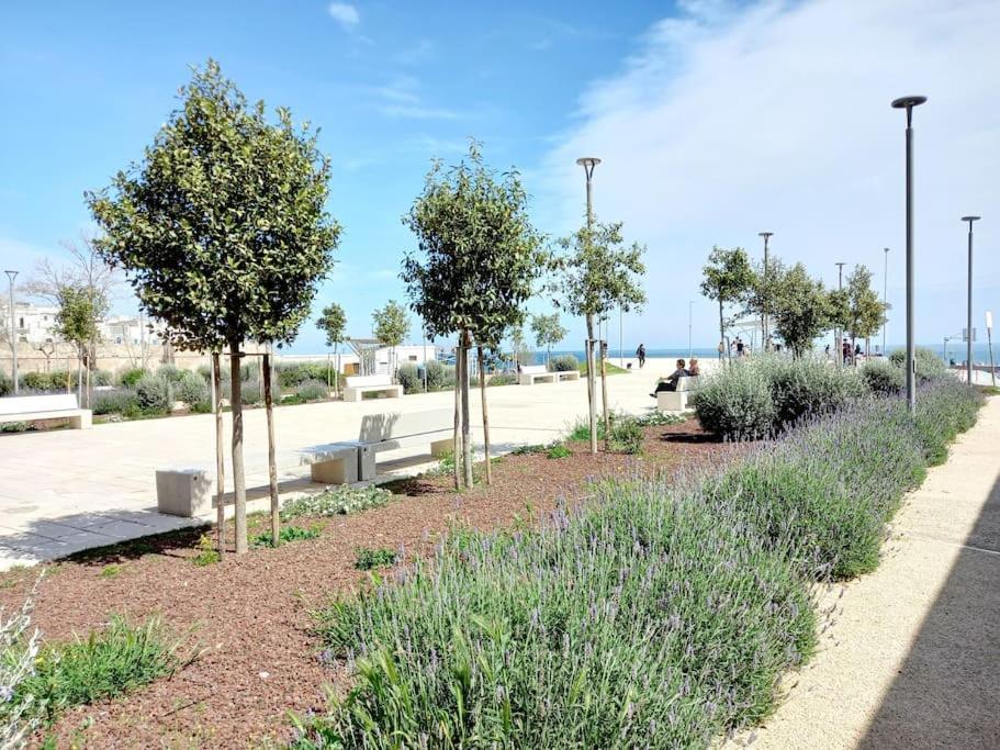 Heart In Home - Vicina Alle Spiagge Di Monopoli Exterior photo